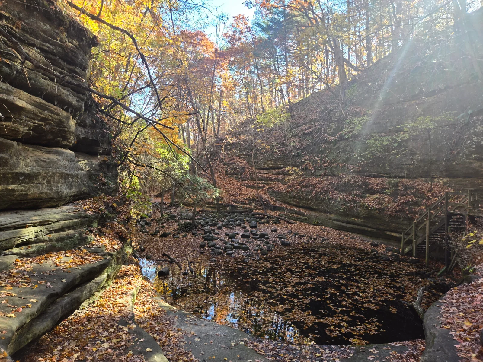 Forest Park Nature Center