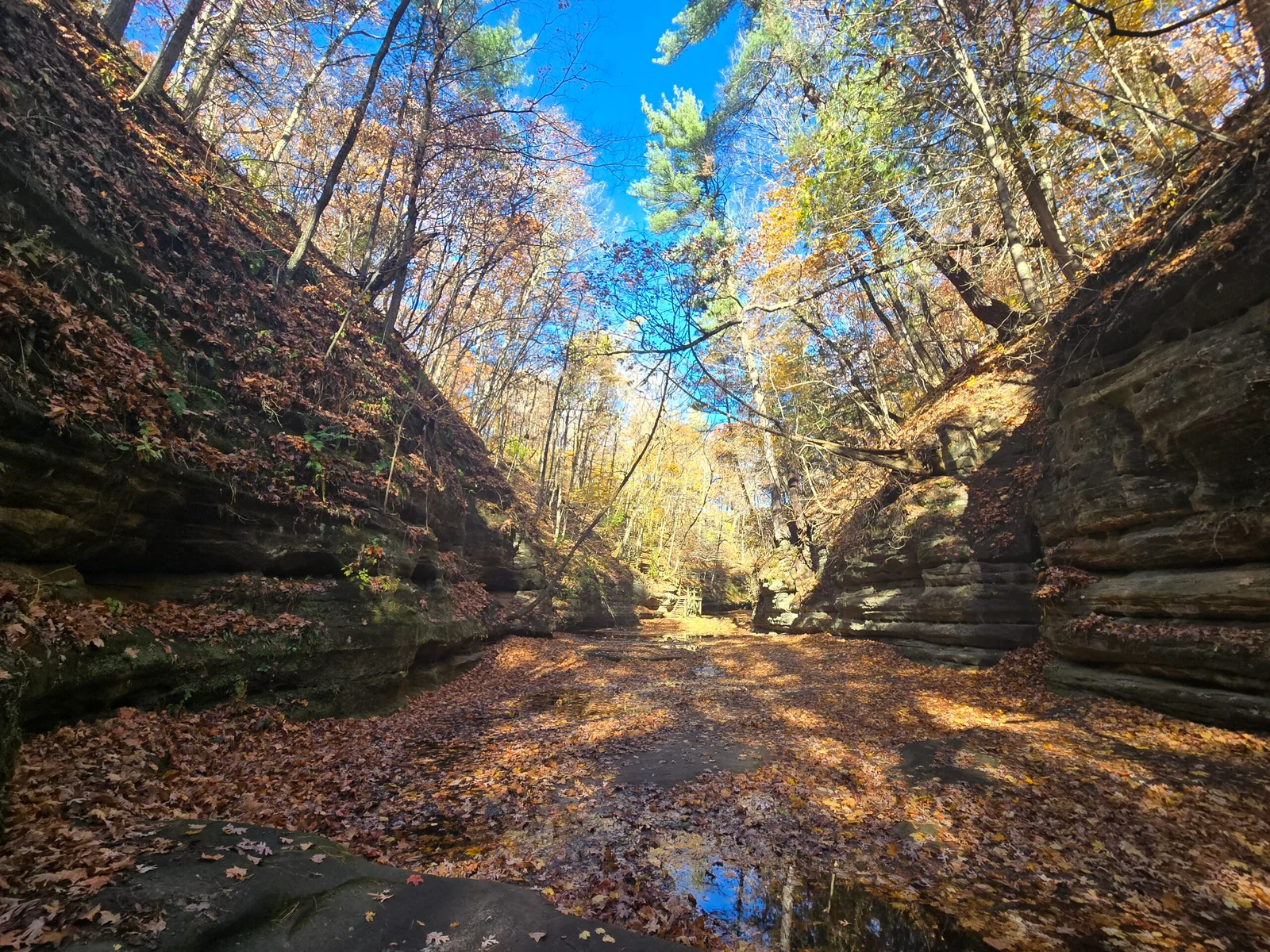 Forest Park Nature Center