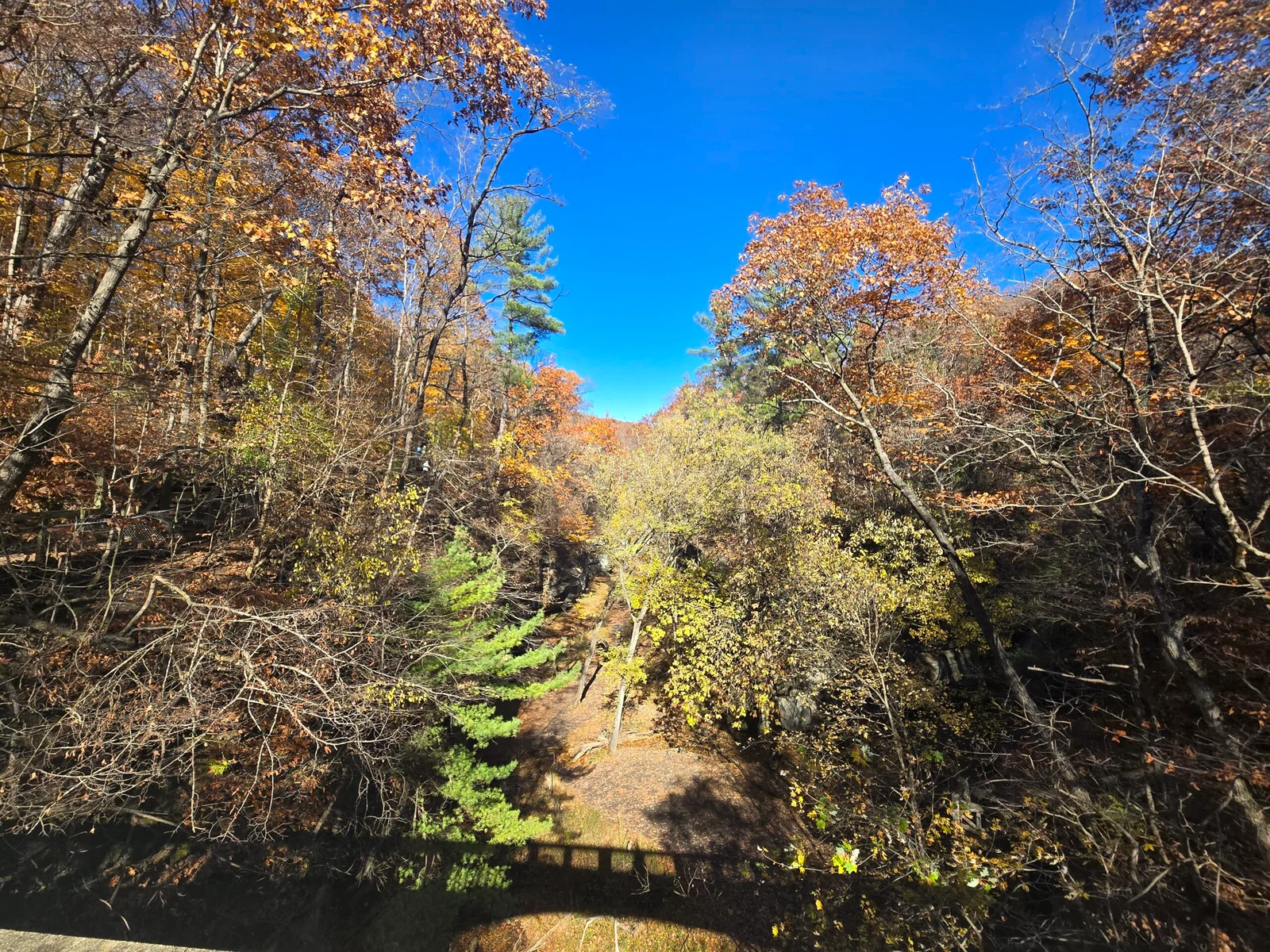 Forest Park Nature Center
