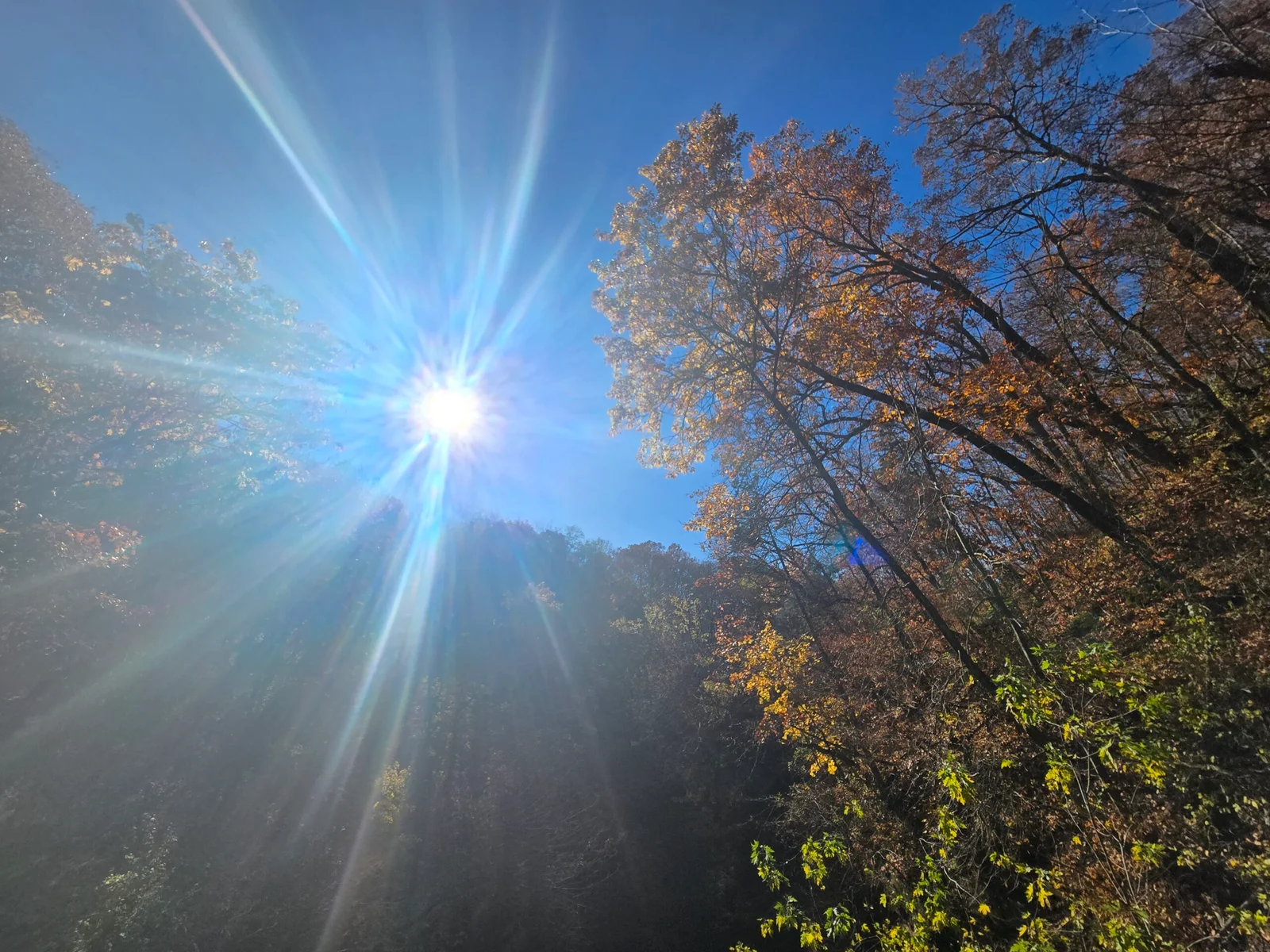 Spotting Heaven at Forest Park Nature Center